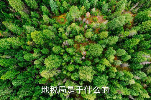 地稅主要負(fù)責(zé)什么工作總結(jié)，地稅局一般做什么工作啊