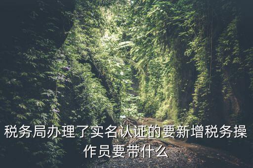 稅務局辦理了實名認證的要新增稅務操作員要帶什么