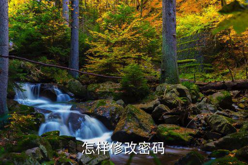 怎樣改國稅密碼是什么，山東省國家稅務局網(wǎng)上辦稅平臺納稅人的密碼怎么改