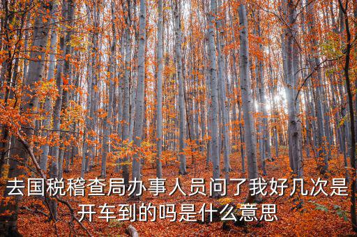 國(guó)稅說需要運(yùn)維是什么意思，什么條件需要辦理國(guó)稅我是一個(gè)月收入2千左右的維修小檔口也要輸