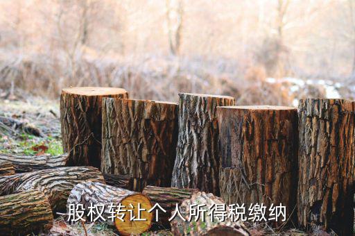 股權(quán)轉(zhuǎn)讓如何繳納個稅，個人股權(quán)轉(zhuǎn)讓如何納稅