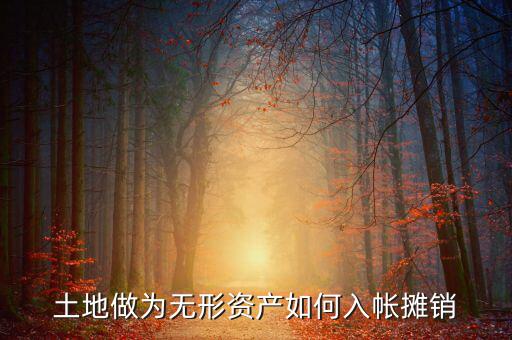 土地如何攤銷(xiāo)，土地做為無(wú)形資產(chǎn)如何入帳攤銷(xiāo)