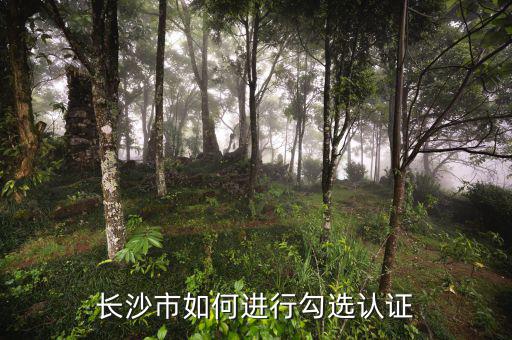 如何進(jìn)行網(wǎng)上勾選，對方開出增值稅專用發(fā)票多長時間可以進(jìn)行網(wǎng)上勾選認(rèn)證