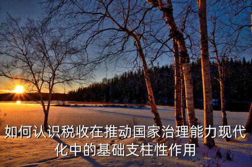 如何認識稅收在推動國家治理能力現代化中的基礎支柱性作用