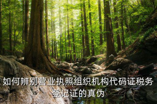 如何查詢稅務登記證真假，問一下怎么查稅務登記證是真是假