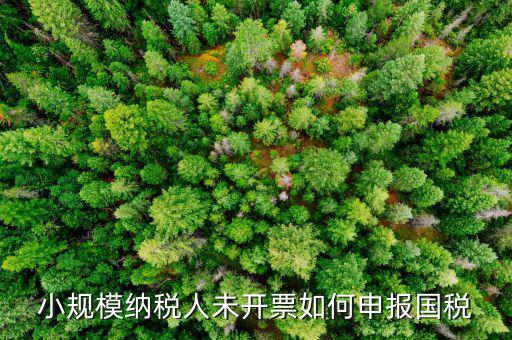 不征稅發(fā)票 如何申報，零星的銷售對方不要發(fā)票怎么報稅