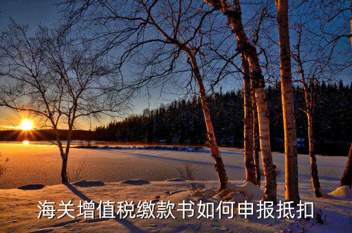 海關(guān)增值稅如何抵扣，海關(guān)增值稅繳款書如何申報(bào)抵扣