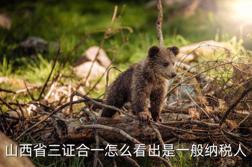 山西省如何查詢納稅人，為什么山西國稅發(fā)票無法查詢真?zhèn)?/></a></span><span id=