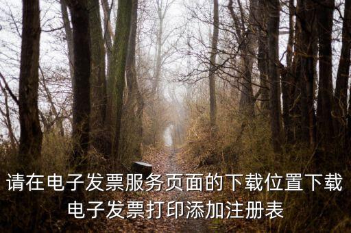 請?jiān)陔娮影l(fā)票服務(wù)頁面的下載位置下載電子發(fā)票打印添加注冊表