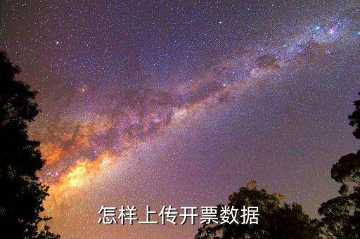 如何上傳進(jìn)項(xiàng)發(fā)票明細(xì)，怎樣上傳開票數(shù)據(jù)