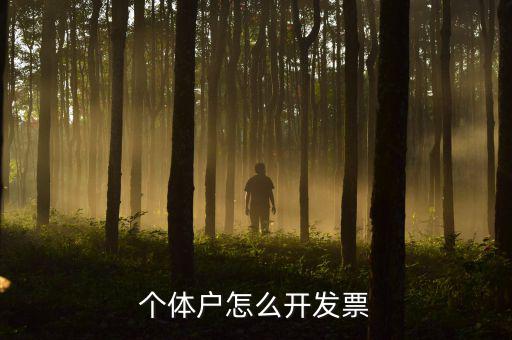 個(gè)體工商戶如何開票，個(gè)體戶怎么開發(fā)票