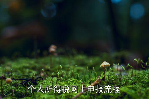如何網(wǎng)上申請個(gè)稅，個(gè)人所得稅網(wǎng)上申報(bào)流程