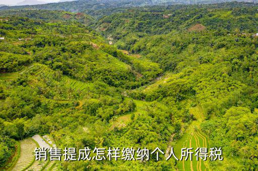 支付個人的銷售回扣如何征收個稅，付別人回扣5791462元 如何扣取個人所得稅請老師詳解在此感