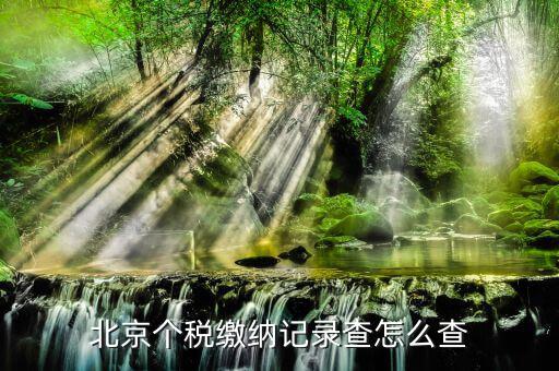 北京如何查詢個人繳稅記錄，北京個稅繳納記錄查怎么查