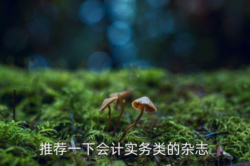 納稅這個(gè)期刊如何，推薦一下會(huì)計(jì)實(shí)務(wù)類(lèi)的雜志