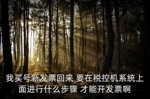稅控系統(tǒng)如何開票，我買號新發(fā)票回來 要在稅控機(jī)系統(tǒng)上面進(jìn)行什么步驟 才能開發(fā)票啊
