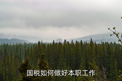 如何做好基層國(guó)稅工作，如何做好新形勢(shì)下的國(guó)稅工作