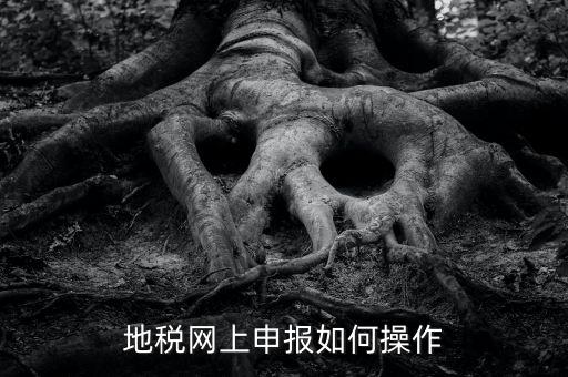 地稅網(wǎng)如何申報，地稅網(wǎng)上申報如何操作