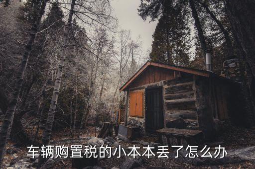 購置稅本丟失如何補辦，車輛購置稅完稅證明本丟了怎么補辦