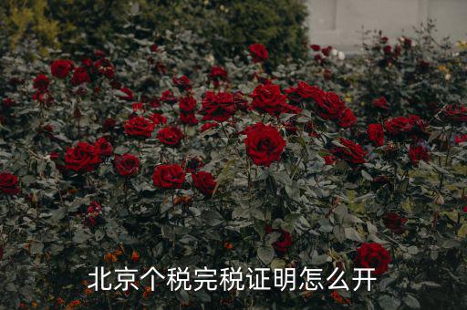北京如何打印個(gè)人所得稅完稅證明，北京個(gè)稅完稅證明怎么開