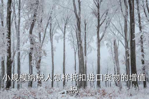 小規(guī)模如何抵扣進(jìn)項(xiàng)，小規(guī)模增值稅怎么抵扣
