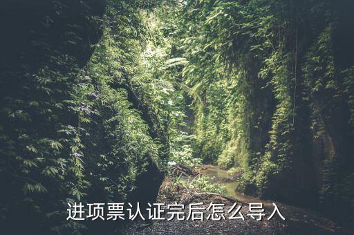 抵扣票如何認證系統(tǒng)下載，增值稅發(fā)票怎樣自己認證需要下載什么軟件什么步驟呢