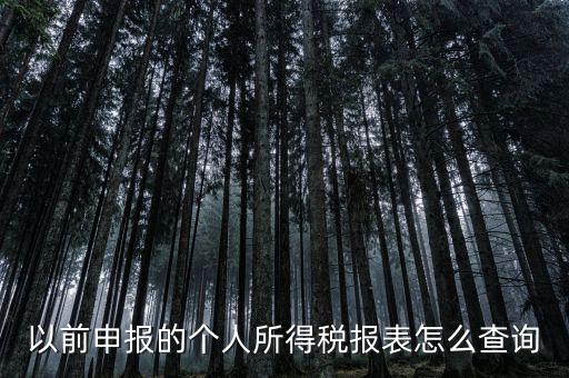 以前申報(bào)的個人所得稅報(bào)表怎么查詢