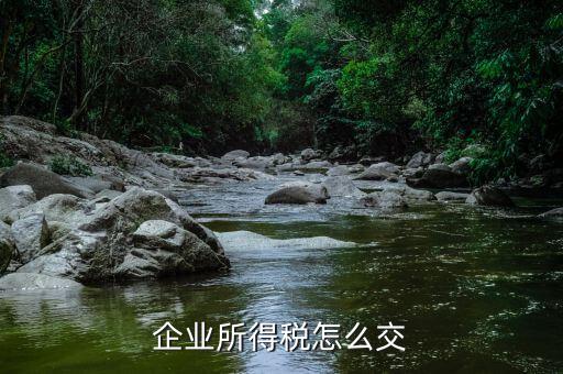 企業(yè)所得稅如何繳納，企業(yè)所得稅如何繳納
