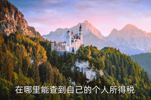 如何查看自己交稅，怎么查自己交了多少稅