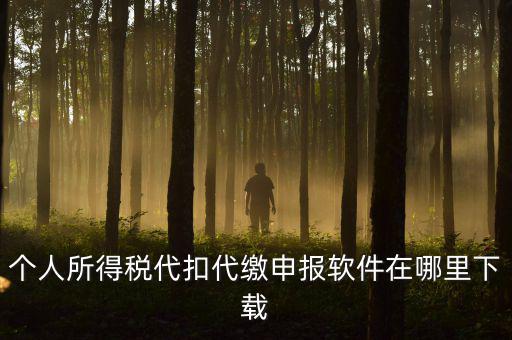 代扣代繳國(guó)稅如何申報(bào)系統(tǒng)下載，國(guó)稅增值稅小規(guī)模稅務(wù)電子申報(bào)軟件在哪里下載呢