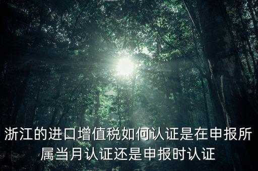 浙江國(guó)稅進(jìn)口發(fā)票如何認(rèn)證，浙江的進(jìn)口增值稅如何認(rèn)證是在申報(bào)所屬當(dāng)月認(rèn)證還是申報(bào)時(shí)認(rèn)證