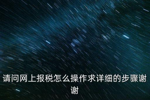 請問網上報稅怎么操作求詳細的步驟謝謝