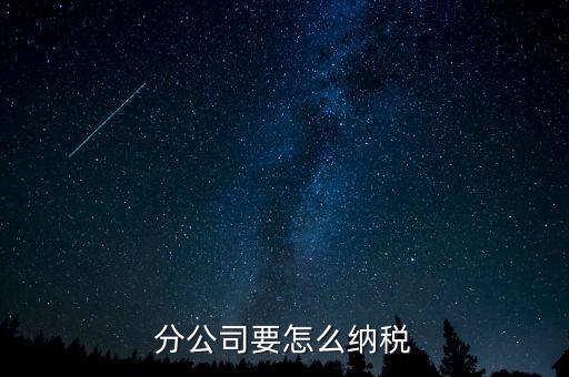 分支機(jī)構(gòu)如何納稅，分支機(jī)構(gòu)增值稅怎樣繳納