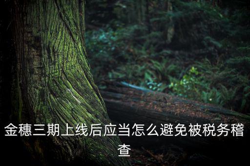 金稅三期如何防稽查，那如何預(yù)防稅局的稽查呢