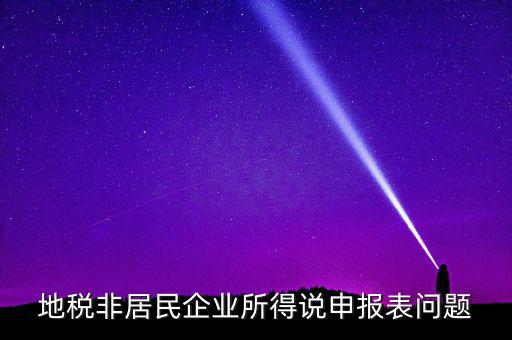 扣繳非居民所得稅報告表指什么，扣繳個人所得稅報告表30