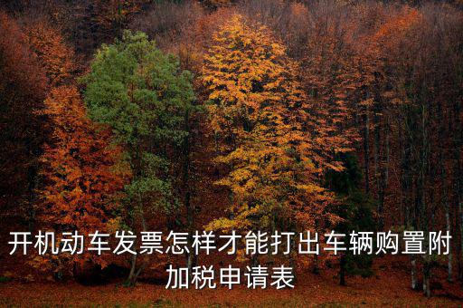 開(kāi)機(jī)動(dòng)車發(fā)票怎樣才能打出車輛購(gòu)置附加稅申請(qǐng)表