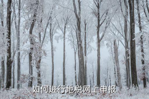 地稅如何進行網(wǎng)上申報，如何進行地稅網(wǎng)上申報