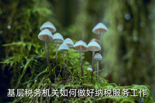 如何做好納稅服務(wù)，基層稅務(wù)機(jī)關(guān)如何做好納稅服務(wù)工作