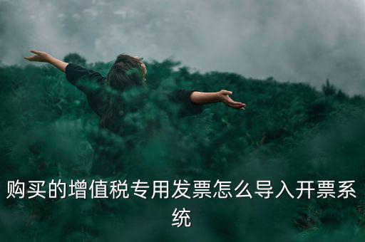 購(gòu)買(mǎi)的增值稅專(zhuān)用發(fā)票怎么導(dǎo)入開(kāi)票系統(tǒng)