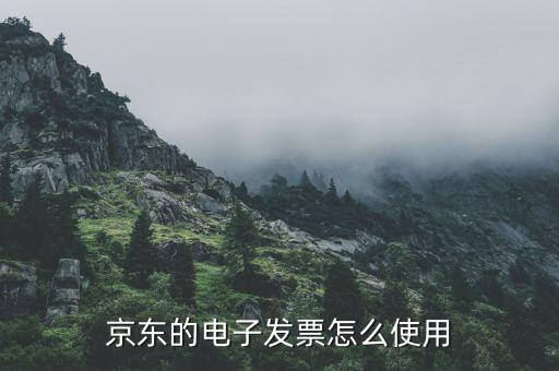 電子發(fā)票如何用，電子客票如何用