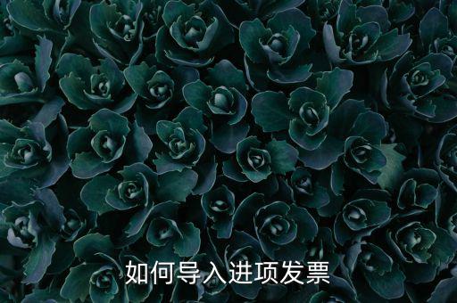 如何導(dǎo)入發(fā)票，如何導(dǎo)入進(jìn)項(xiàng)發(fā)票
