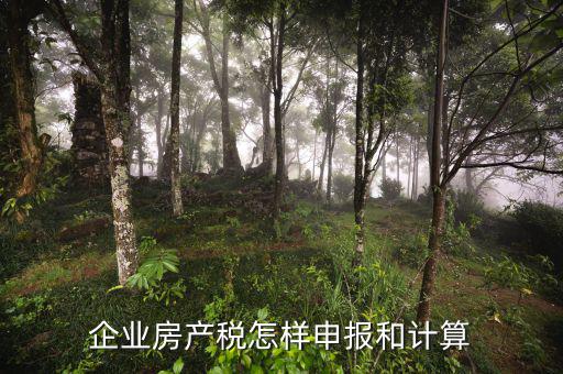 企業(yè)房產(chǎn)稅如何申報，企業(yè)何如申報房產(chǎn)稅