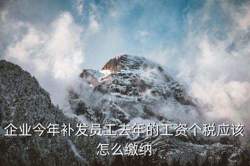 補發(fā)一年工資如何算稅，補發(fā)員工以前年度工資如何繳納個稅