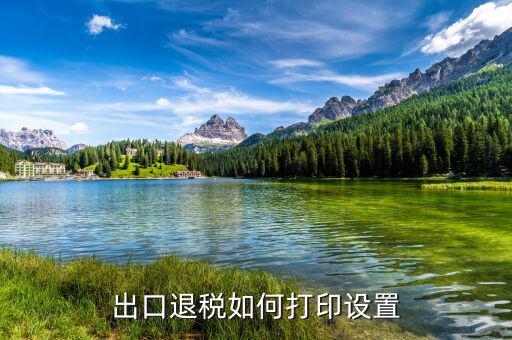 如何打印出口退稅備案表，出口退稅系統(tǒng)內(nèi)的增值稅申報表如何打印