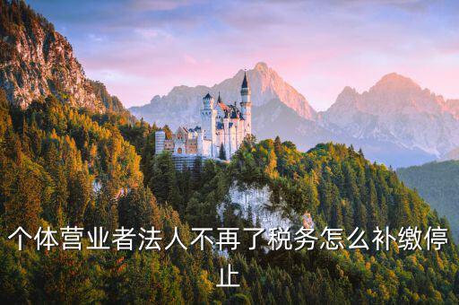 個體戶如何補交固定稅，個體戶地稅怎么補交未進行地稅申報現(xiàn)補交稅款還要被罰款三倍嗎