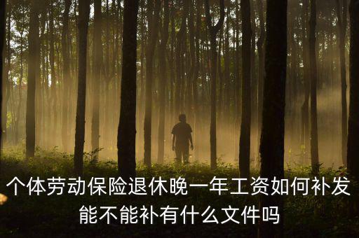 如何補(bǔ)發(fā)工資，個(gè)體勞動(dòng)保險(xiǎn)退休晚一年工資如何補(bǔ)發(fā)能不能補(bǔ)有什么文件嗎