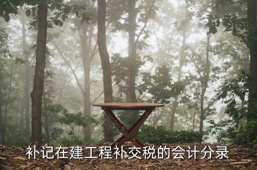 建筑業(yè)增值稅如何補繳，補記在建工程補交稅的會計分錄
