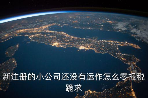 新注冊的小公司還沒有運(yùn)作怎么零報稅跪求