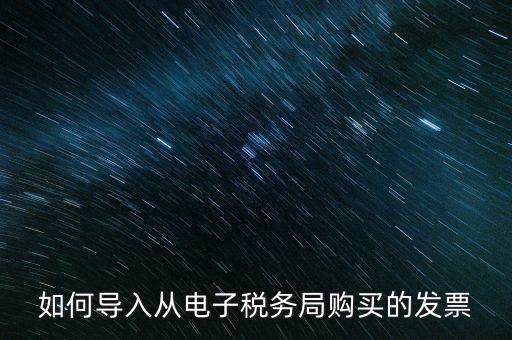 如何導(dǎo)入從電子稅務(wù)局購(gòu)買(mǎi)的發(fā)票
