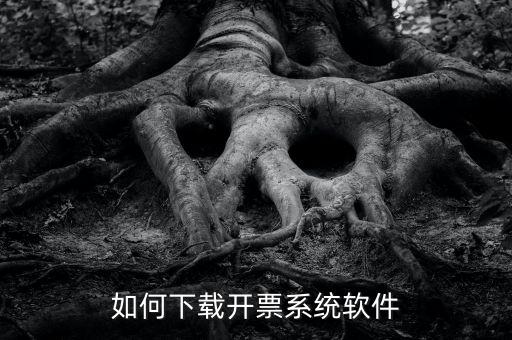發(fā)票軟件如何下載軟件，怎么安裝稅控發(fā)票開(kāi)票軟件v20